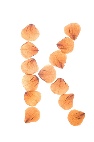 Buchstabe k arrangiert aus echten trockenen Rosenblättern. — Stockfoto