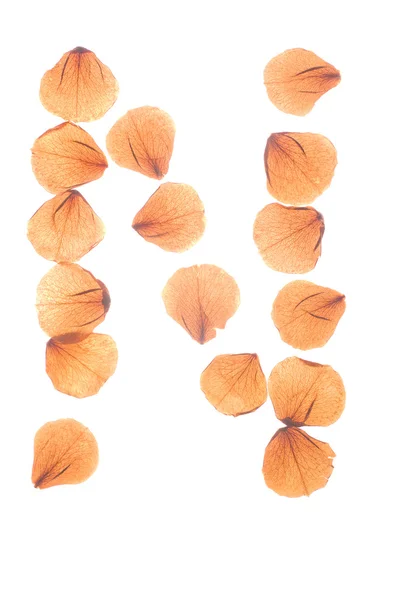Çok kuru gül yaprakları düzenlenmiş N harfi. — Stok fotoğraf