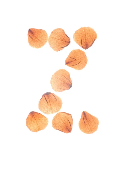Letter Z arranged from real dry rose petals. — Stock Photo, Image