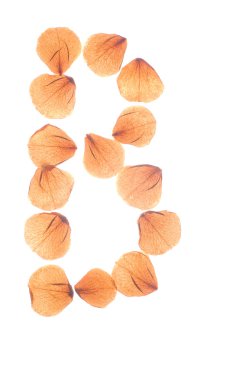 Çok kuru gül yaprakları düzenlenmiş B harfi.