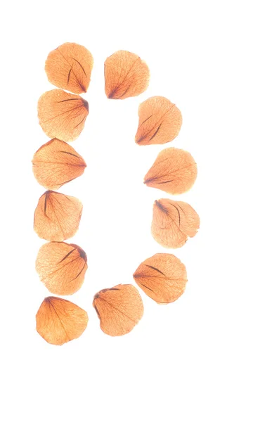 Buchstabe d aus echten trockenen Rosenblättern arrangiert. — Stockfoto