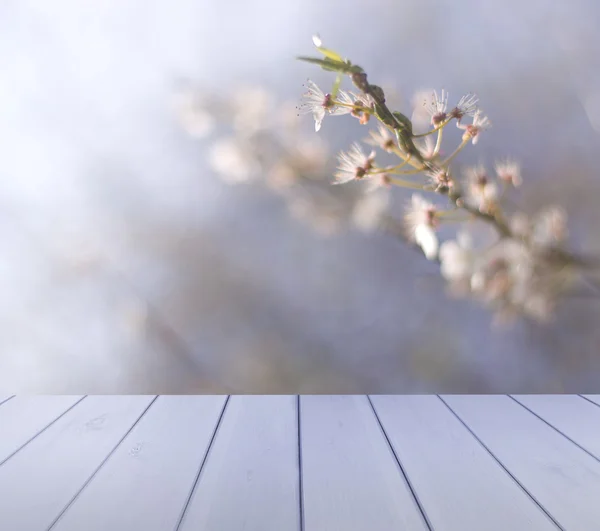 Tomme bord med blanke, blomstrende trær i bakgrunnen, for mal for produktframvisning – stockfoto