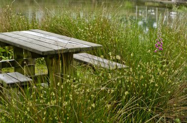 bir kırsal, İngiltere'de banklar ile ahşap piknik masası