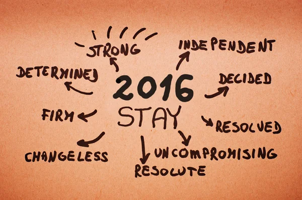 Goals on 2016 Stay- written on orange cardboard. — Stock Photo, Image