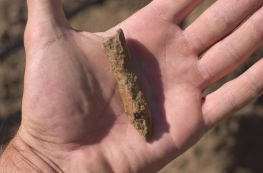 historical,old arrowhead in hand on archaeological background