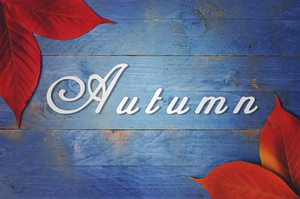 Autunno scritto su sfondo blu, grunge, legno con foglie autunnali — Foto Stock