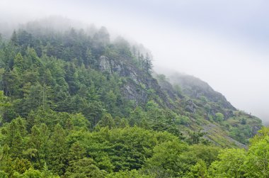 Dağ manzarası yaz sabah soğuk sabah sis, İngiltere, Europe
