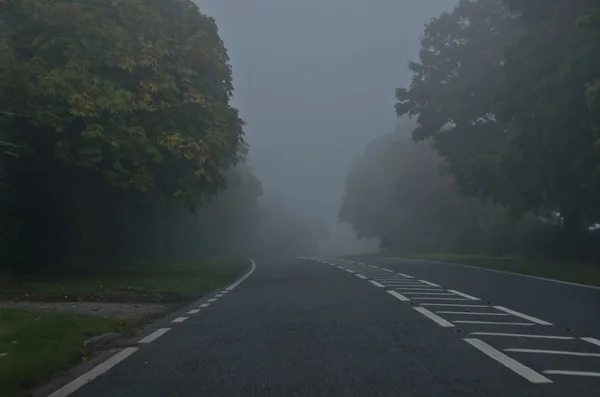 Estrada perigosa num dia nebuloso. Estrada através da floresta de outono — Fotografia de Stock