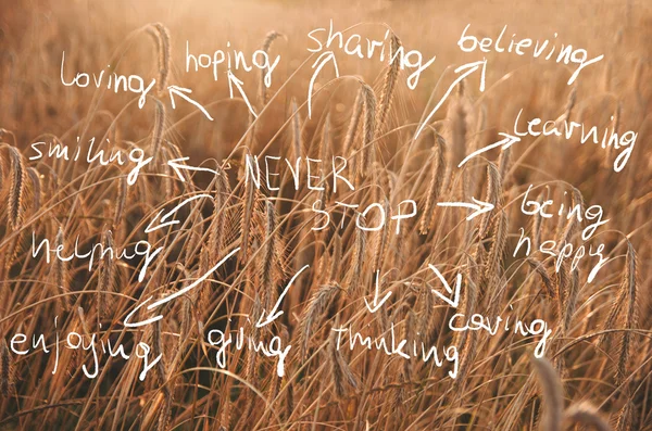 Words never stop idea handwritten on a field of wheat ready to be harvested. Never stop concept. — Stock Photo, Image