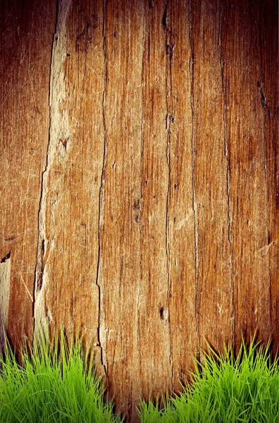 Fresh spring green grass over wood fence background — Stock Photo, Image