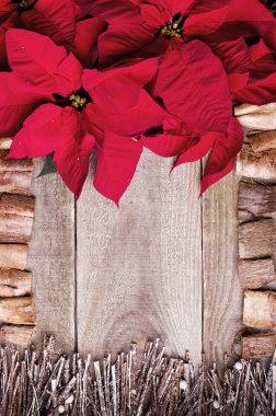 Atatürk çiçeği çiçek ve twigs drift ahşap ile düzenlenmiş çerçeve