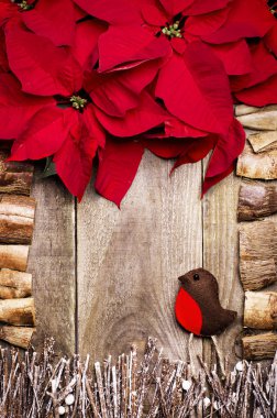 Atatürk çiçeği çiçek, çerçeve düzenlenmiş sopa, çırpı, dalgaların karaya attığı odun