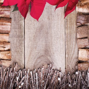 Atatürk çiçeği çiçek ve twigs drift ahşap ile düzenlenmiş çerçeve