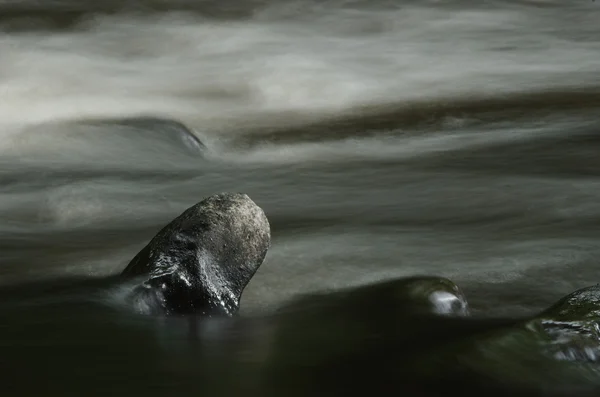 Rio Goyt durante o alto fluxo de água. Tomado com uma velocidade lenta do obturador para suavizar o fluxo da água como é apressado por. New Mills river Goyt, Lancsashire Inglaterra . — Fotografia de Stock