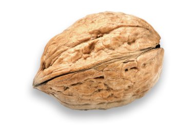 Beyaz arka plan üzerinde izole ceviz. Yansıma ve kopya alanı ile.