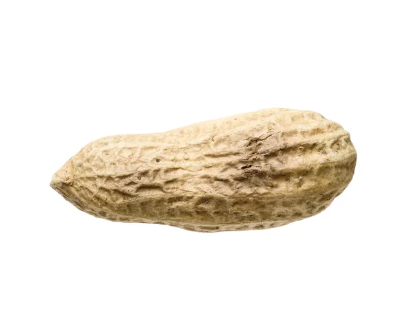 Peanut isolated on white background with copy space. — Stock Photo, Image