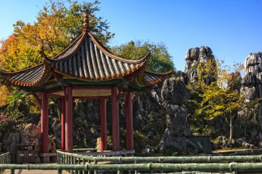 Taş Pagoda orman