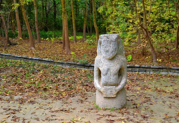 Mulher Cita História Monumentos Natureza Askania — Fotografia de Stock