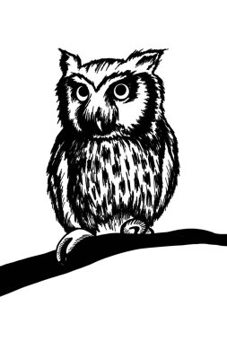 Bir kuşun yakın çekimi. Baykuş dalda