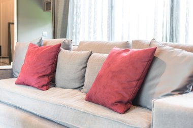 modern gri kanepe üzerinde kırmızı yastık 