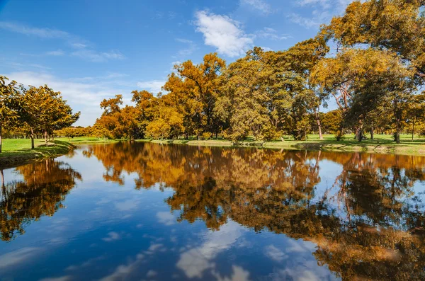 Árboles reflexiones en la orilla del lago — Foto de Stock