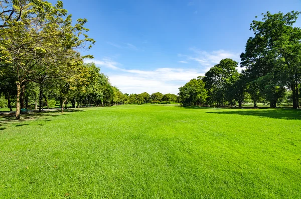 Belle lumière du matin dans le parc public avec champ d'herbe verte un — Photo