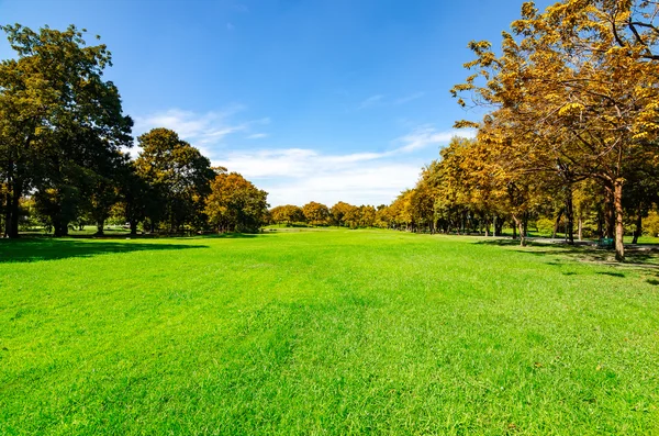 Güzel sabah ışığı yeşil çim alan ile ortak Park'ta bir