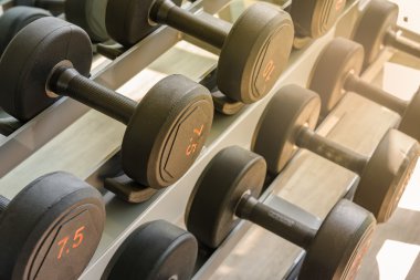 Spor salonunda bir sıra dambıl.
