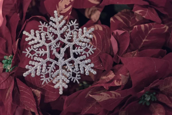 カエデの葉に雪の結晶 — ストック写真