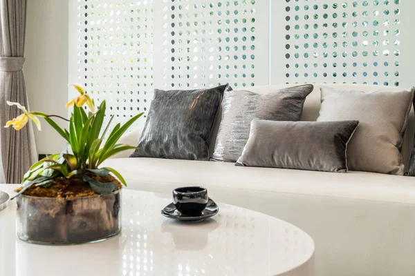 Estilo Clássico Sala Estar Com Conjunto Sofá Travesseiros Design Conceito — Fotografia de Stock
