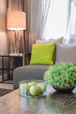 oturma odasında seramik vazo bitkilerde