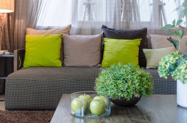 oturma odasında siyah seramik vazoda bitkiler