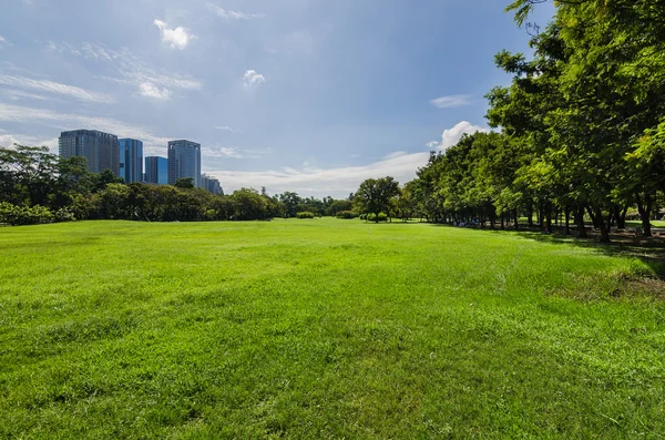 Césped verde con árbol y edificios — Foto de Stock