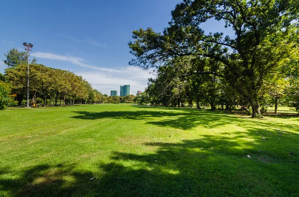 Parque con sombra de árbol verde — Foto de Stock