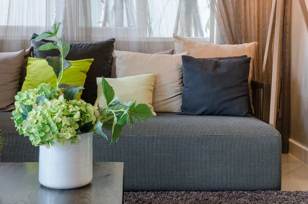 Rostliny v bílá keramická váza v obýváku doma — Stock fotografie