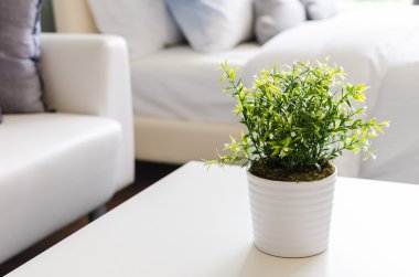 yeşil bitkiler beyaz aranjman