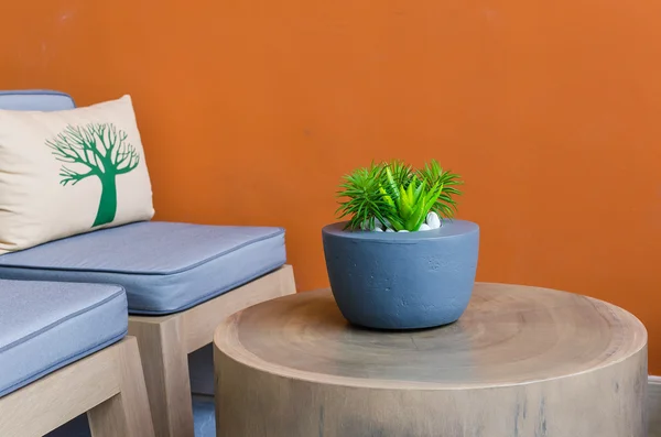 Plantas en maceta moderna sobre mesa de madera — Foto de Stock