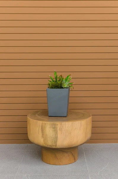 Plantas em vaso cinza moderno em mesa redonda de madeira — Fotografia de Stock