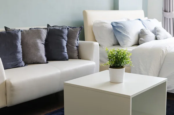 Plantas en jarrón blanco sobre mesa blanca con sofá — Foto de Stock