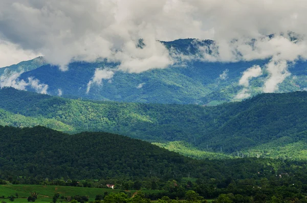 Cloud and fog on mountain — Stock Photo, Image