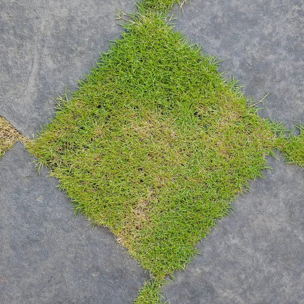 Grass and gravel texture — Stock Photo, Image