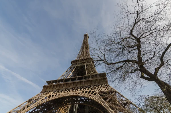 埃菲尔铁塔与树。法国欧洲. — 图库照片