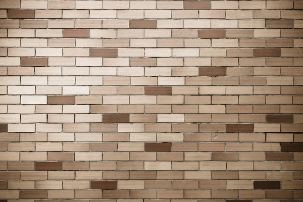 Brick wall texture — Stock Photo, Image