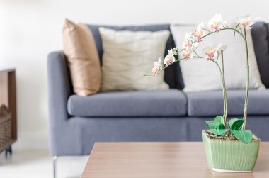 pillows on blue sofa with lamp