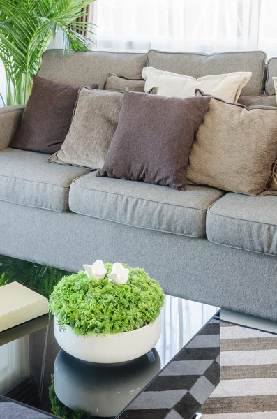 Florero de plantas en la mesa negra en la sala de estar moderna — Foto de Stock