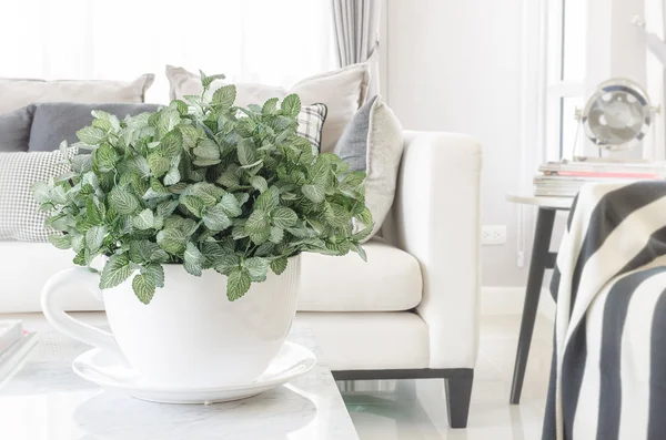 Bílá miska rostlin na stůl v moderním obývacím pokoji — Stock fotografie