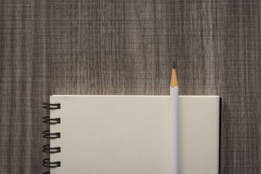 boş defter ile beyaz kalem 