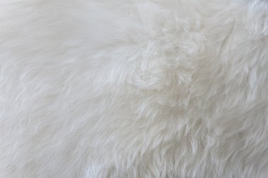 arka plan olarak beyaz kürk yakın çekim