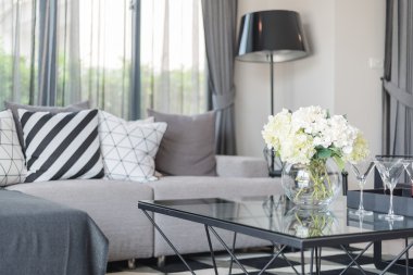 modern kanepe ve yastık modern oturma odası