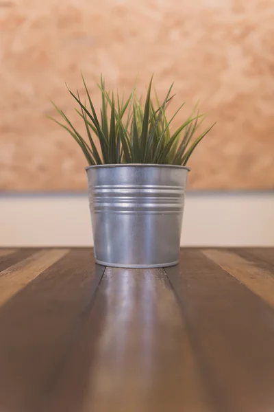 Vasos de jardim de metal com plantas — Fotografia de Stock